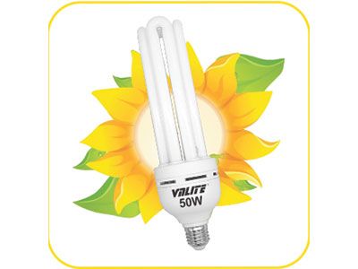 Bóng đèn Compact 4U 50W - VNLite